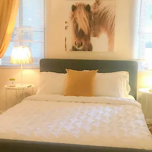 Third Street Apartment